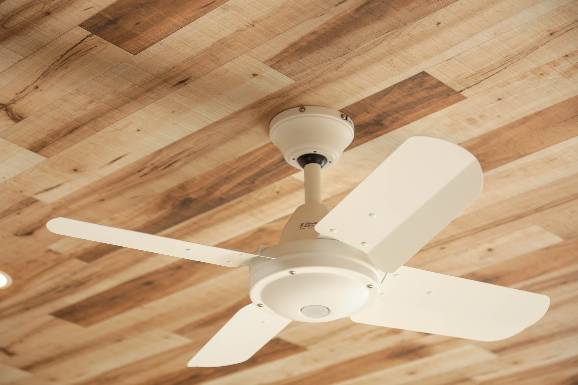 カリフォルニア